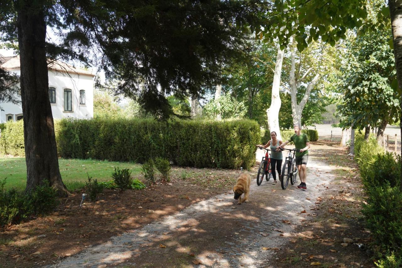 Quinta Do Areal Daire Lousã Dış mekan fotoğraf