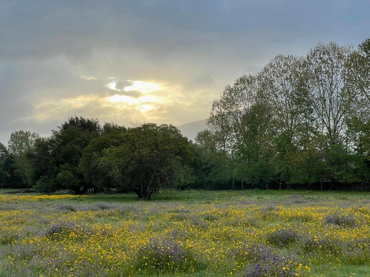 Quinta Do Areal Daire Lousã Dış mekan fotoğraf