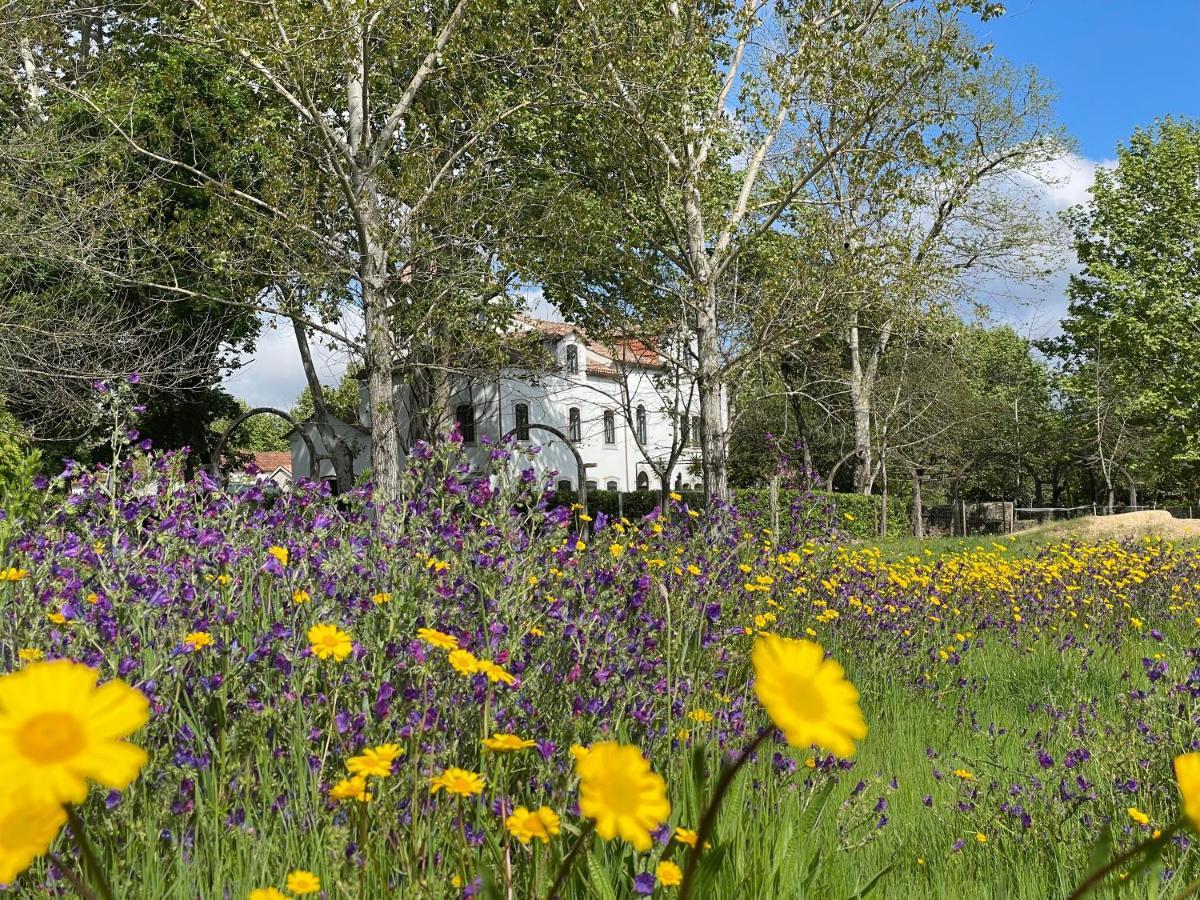 Quinta Do Areal Daire Lousã Dış mekan fotoğraf